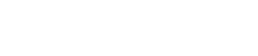 Shape Your Future with Japanese