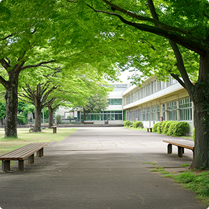 学校風景